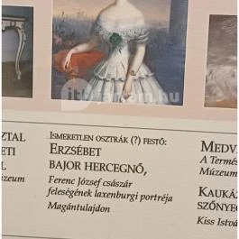 Gödöllői Királyi Kastély Gödöllő - Egyéb