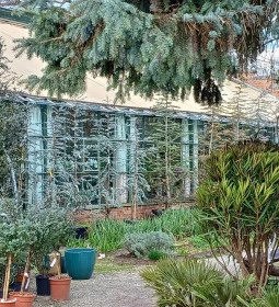 Gödöllői Királyi Kastély Pálmaház