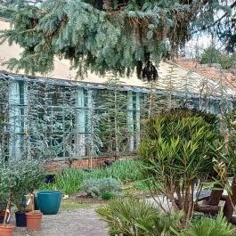 Gödöllői Királyi Kastély Pálmaház, Gödöllő - Külső kép