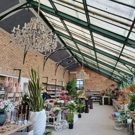 Gödöllői Királyi Kastély Pálmaház, Gödöllő - Belső