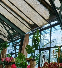 Gödöllői Királyi Kastély Pálmaház