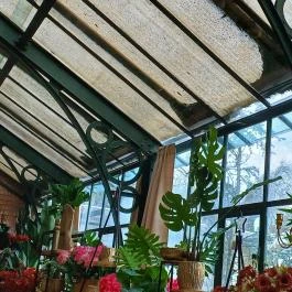 Gödöllői Királyi Kastély Pálmaház, Gödöllő - Belső