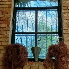 Gödöllői Királyi Kastély Pálmaház, Gödöllő - Belső