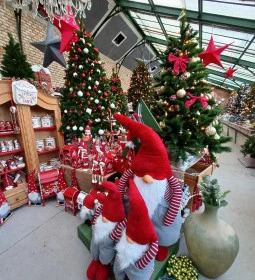 Gödöllői Királyi Kastély Pálmaház