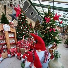 Gödöllői Királyi Kastély Pálmaház, Gödöllő - Belső