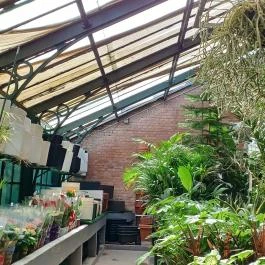 Gödöllői Királyi Kastély Pálmaház, Gödöllő - Belső