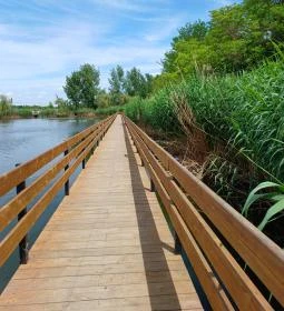 Gödör Madárbarát Park