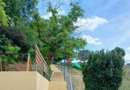 Gödör Madárbarát Park Cibakháza