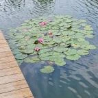 Gödör Madárbarát Park Cibakháza - Egyéb