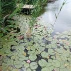 Gödör Madárbarát Park Cibakháza - Egyéb