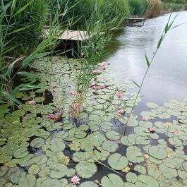 Gödör Madárbarát Park, Cibakháza - Egyéb