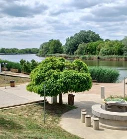 Gödör Madárbarát Park