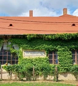 Goszthony Mária Emlékmúzeum és Nemzetközi Üvegmúzeum