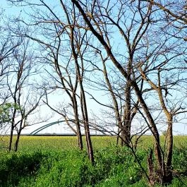 Gróf Szapáry Gyula emléktáblája, Tiszabura - Külső kép