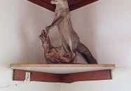 Halász Vendéglő Nagykörű