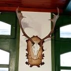 Halász Vendéglő Nagykör? - Egyéb