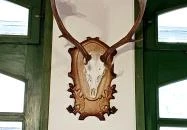 Halász Vendéglő Nagykörű