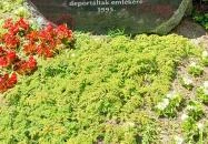 Harang Székesfehérvár