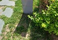 Harang Székesfehérvár