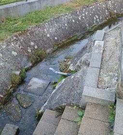 Harangláb