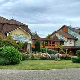 Hétkúti Wellness Hotel & Lovaspark Mór - Egyéb