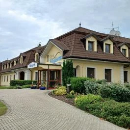 Hétkúti Wellness Hotel & Lovaspark Mór - Egyéb