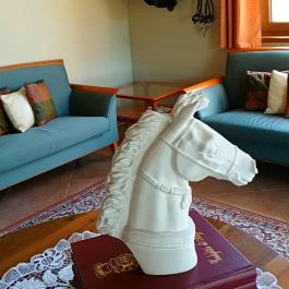 Hétkúti Wellness Hotel & Lovaspark Mór - Egyéb