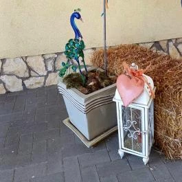 Hétkúti Wellness Hotel & Lovaspark Mór - Egyéb