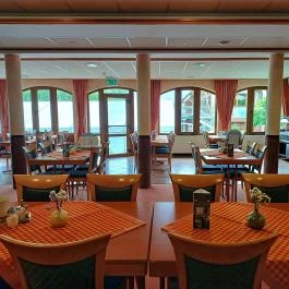 Hétkúti Wellness Hotel & Lovaspark Mór - Egyéb