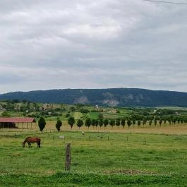 Hétkúti Wellness Hotel & Lovaspark Mór - Egyéb