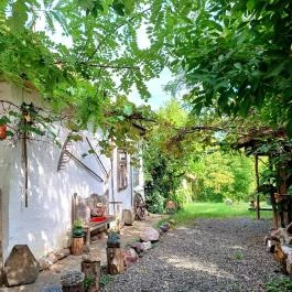 Hollókő Ófalu Hollókő - Egyéb