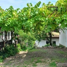 Hollókő Ófalu Hollókő - Egyéb