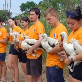 Hortobágyi Madárpark, Hortobágy - Egyéb