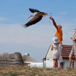 Hortobágyi Madárpark, Hortobágy - Egyéb