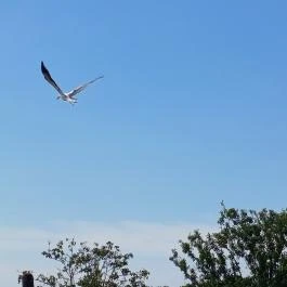 Hortobágyi Madárpark, Hortobágy - Egyéb