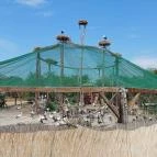 Hortobágyi Madárpark Hortobágy - Egyéb