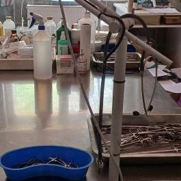 Hortobágyi Madárpark, Hortobágy - Egyéb