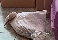 Hortobágyi Madárpark Hortobágy