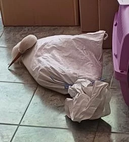 Hortobágyi Madárpark