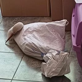 Hortobágyi Madárpark, Hortobágy - Egyéb