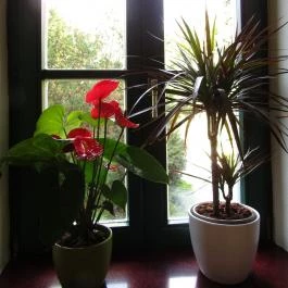 Aqua Villa Eger Eger - Belső