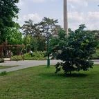 I. világháborús emlékmű Kenderes - Egyéb