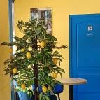 Isola Bella Kávézó és Cukrászda Szolnok - Egyéb