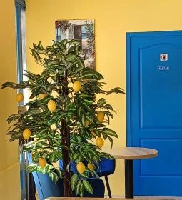 Isola Bella Kávézó és Cukrászda