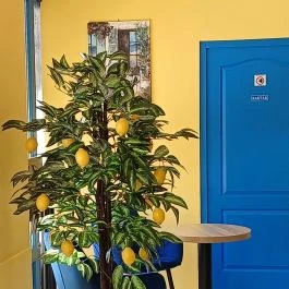 Isola Bella Kávézó és Cukrászda, Szolnok - Egyéb