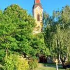 Kapucinus templom Mór - Egyéb