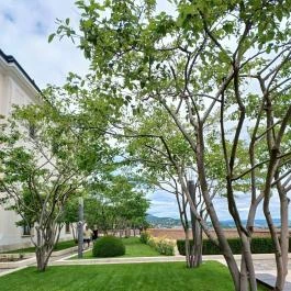 Karmelita kolostor, Budapest - Külső kép