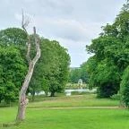 Károlyi-Kastély Fehérvárcsurgó - Egyéb