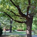 Kastélyszálló Tiszaroff Tiszaroff - Egyéb