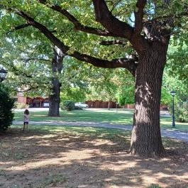 Kastélyszálló Tiszaroff , Tiszaroff - Egyéb